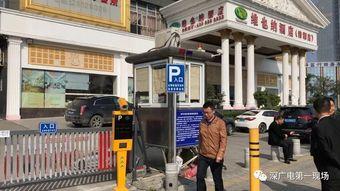 龙华新闻第一现场爆料,揭秘重大事件背后真相